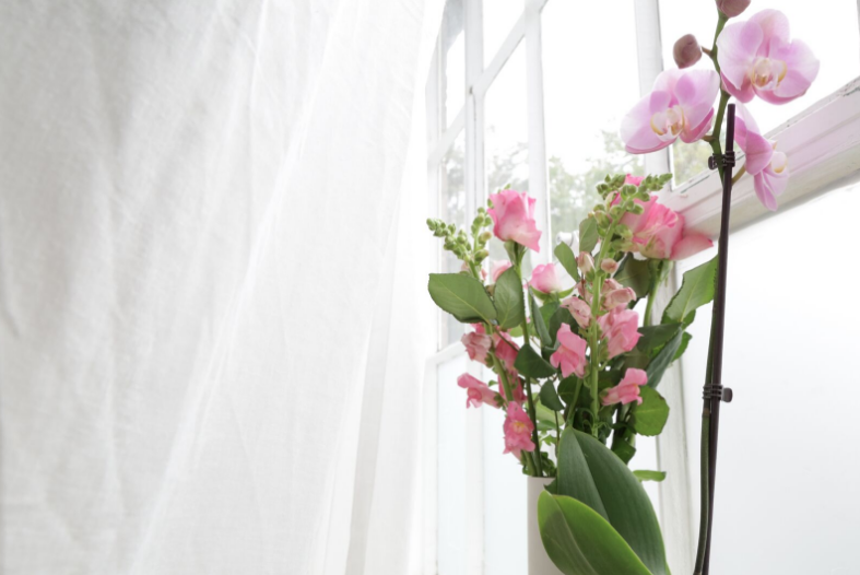 Pink flowers in window of acupuncture clinic in Fulham, London